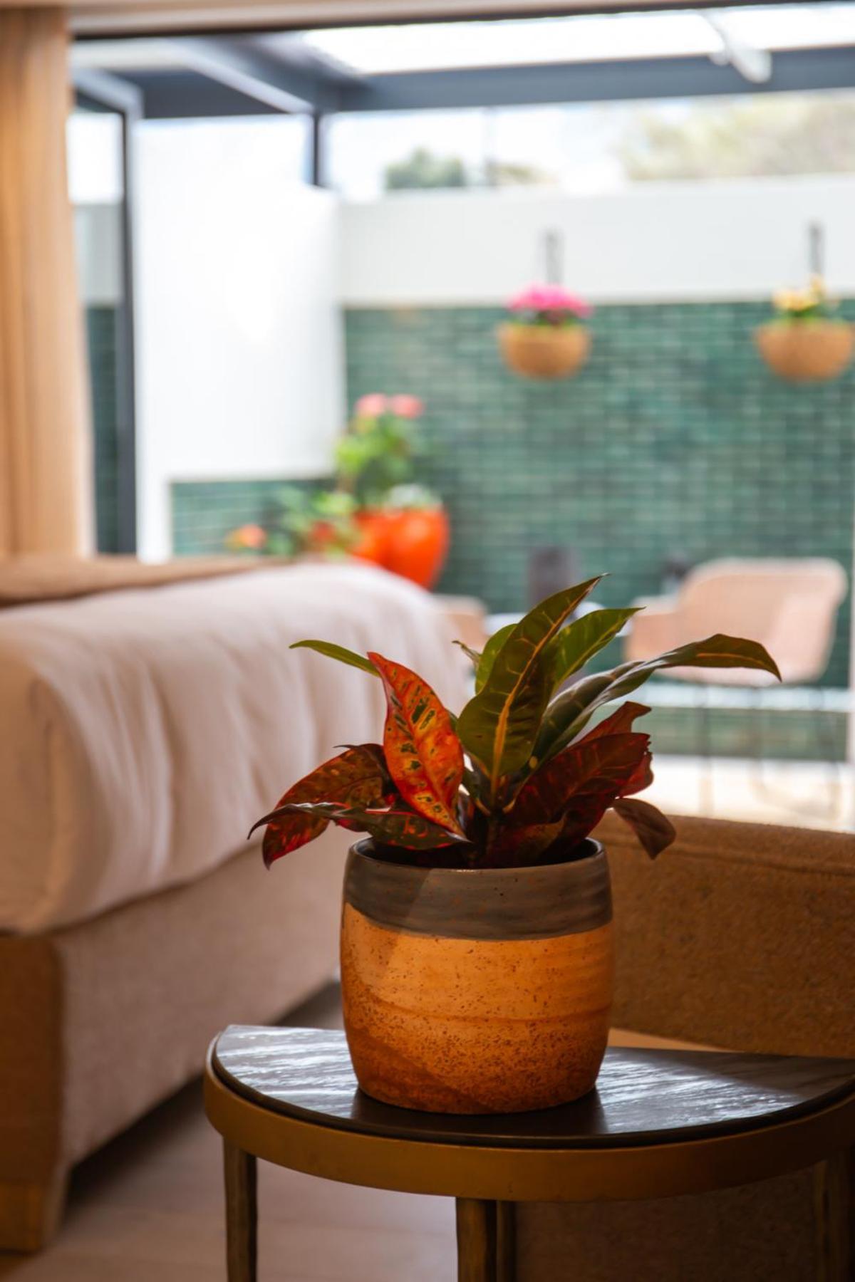 Le Petit Manoir Boutique Hotel Franschhoek Luaran gambar